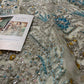 Ahmad sultan - Marie Antoinette Ayla's Atelier