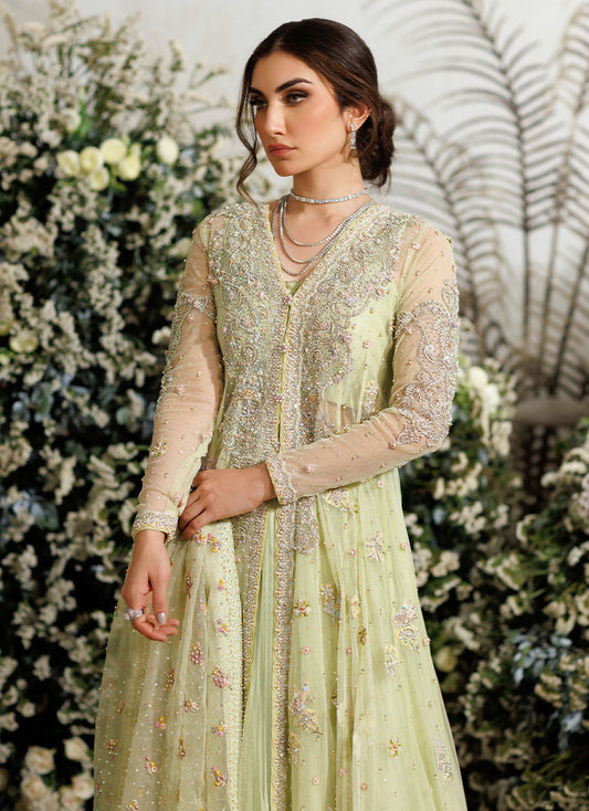 Farah Talib Aziz - Eliza kiwi tulle kalidaar My Store