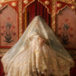 Mohsin Naveed Ranjha (MNR) - Shabnami